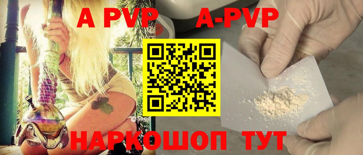 Alfa_PVP СК Новочеркасск