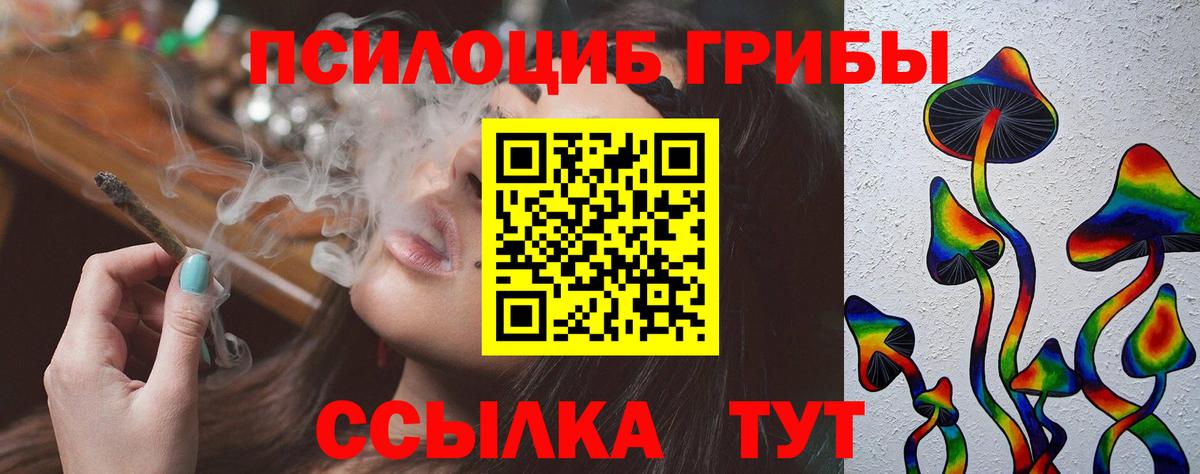 Псилоцибиновые грибы мицелий  Вход с VPN  Новочеркасск 