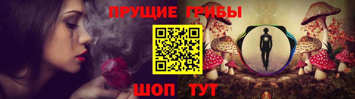 Псилоцибиновые грибы Psilocybe Новочеркасск